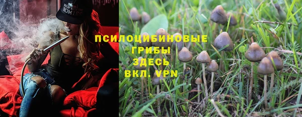 дмт Зеленодольск