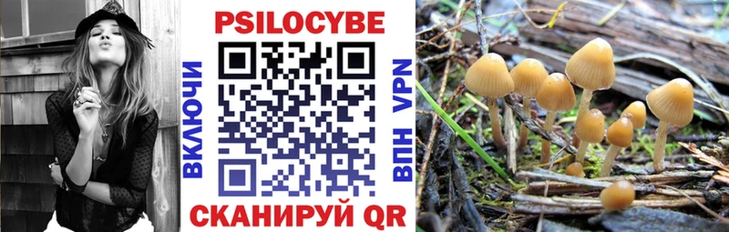 Псилоцибиновые грибы Psilocybine cubensis  Купить закладки  Любань 